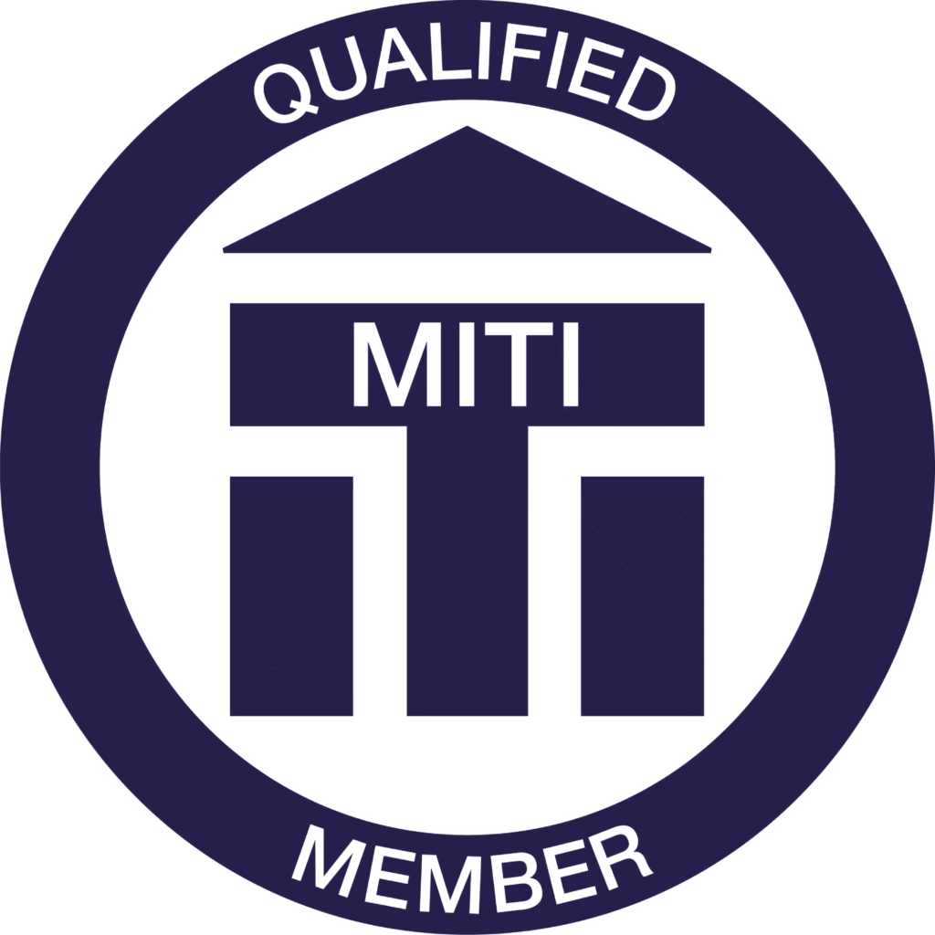 Viktoriia Bogdanova MITI translator